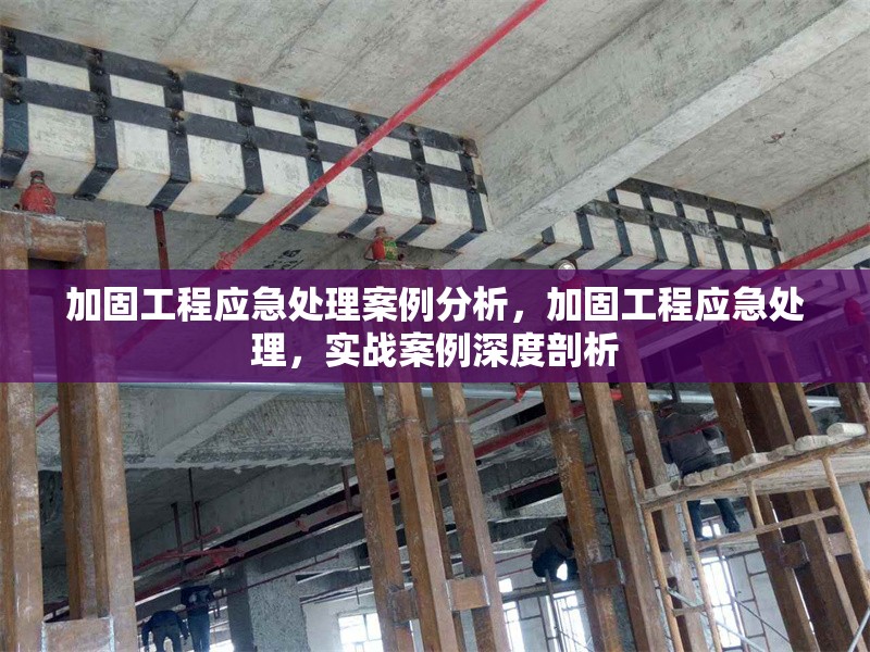 加固工程應(yīng)急處理案例分析，加固工程應(yīng)急處理，實戰(zhàn)案例深度剖析