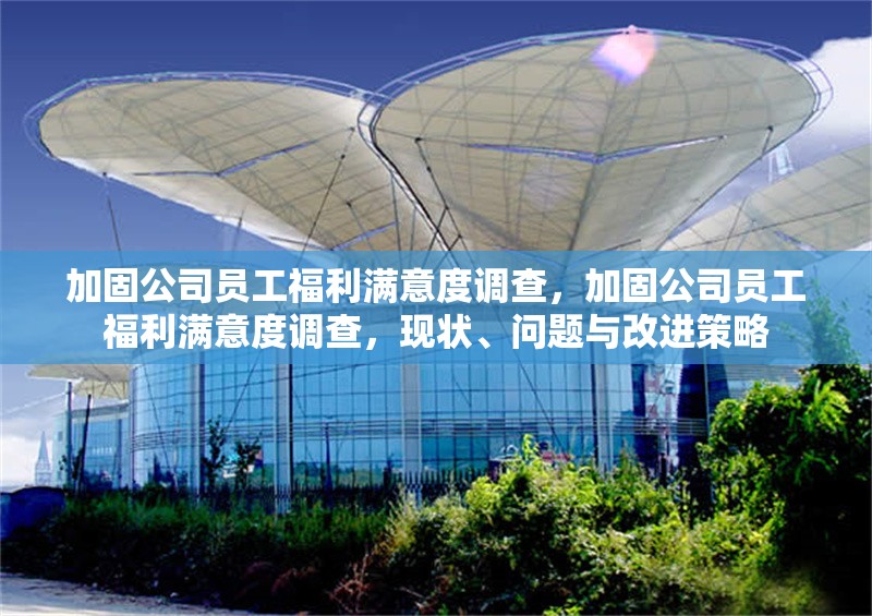 加固公司員工福利滿(mǎn)意度調(diào)查，加固公司員工福利滿(mǎn)意度調(diào)查，現(xiàn)狀、問(wèn)題與改進(jìn)策略 行業(yè)新聞 第6張