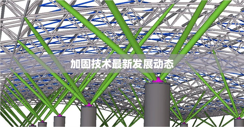 加固技術(shù)最新發(fā)展動(dòng)態(tài) 行業(yè)新聞 第1張