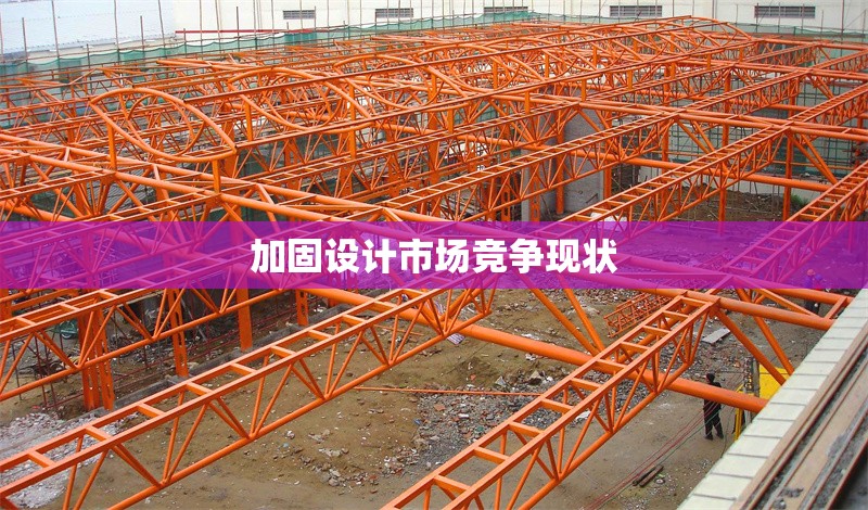 加固設計市場競爭現(xiàn)狀