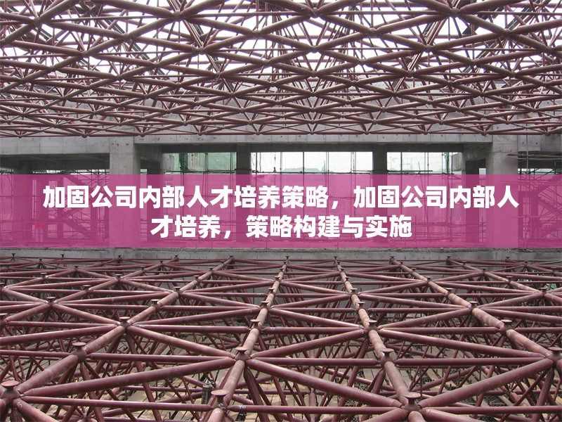 加固公司內(nèi)部人才培養(yǎng)策略，加固公司內(nèi)部人才培養(yǎng)，策略構(gòu)建與實(shí)施 行業(yè)新聞 第1張
