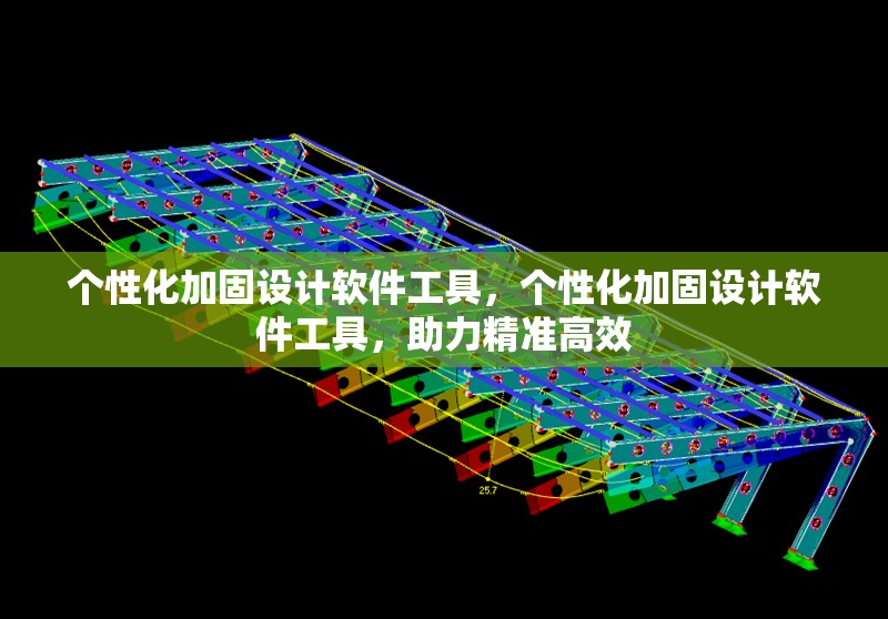個性化加固設(shè)計軟件工具，個性化加固設(shè)計軟件工具，助力精準(zhǔn)高效 行業(yè)新聞 第1張