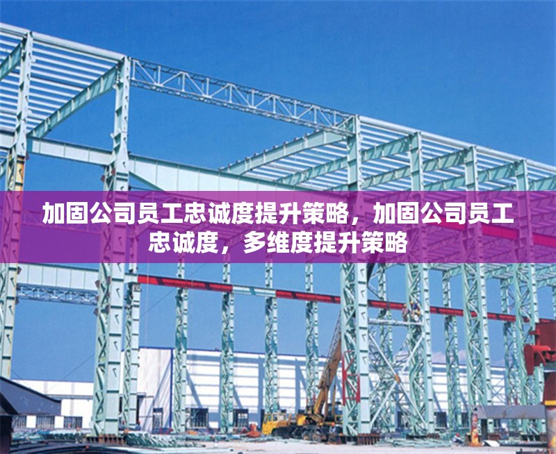 加固公司員工忠誠度提升策略，加固公司員工忠誠度，多維度提升策略