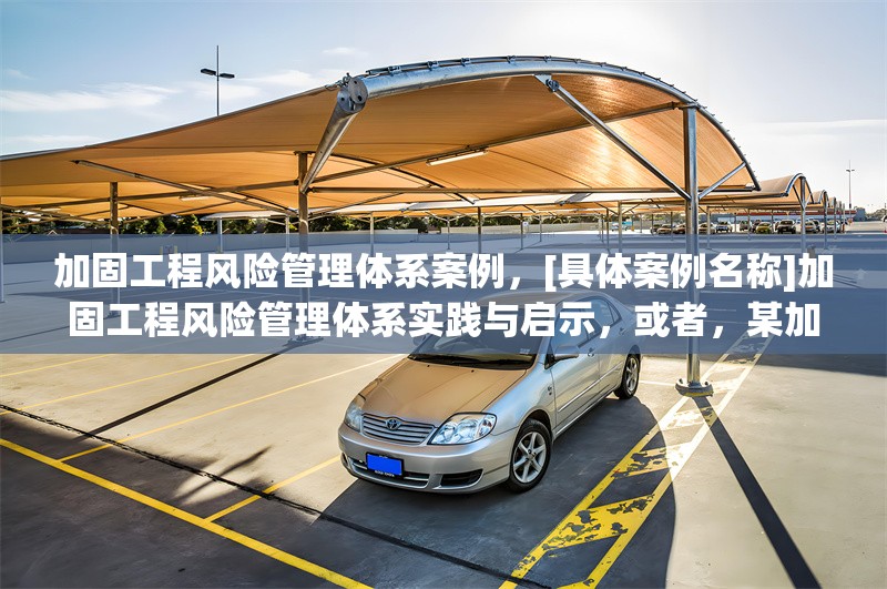 加固工程風(fēng)險管理體系案例，[具體案例名稱]加固工程風(fēng)險管理體系實(shí)踐與啟示，或者，某加固工程風(fēng)險管理體系構(gòu)建及應(yīng)用案例剖析，或者