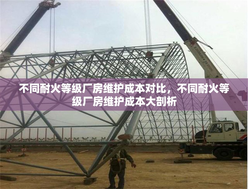 不同耐火等級廠房維護(hù)成本對比，不同耐火等級廠房維護(hù)成本大剖析