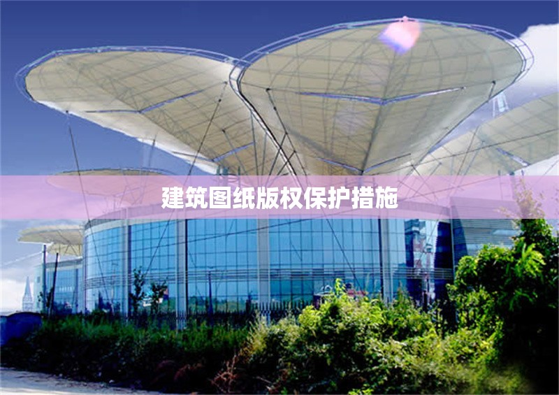 建筑圖紙版權保護措施