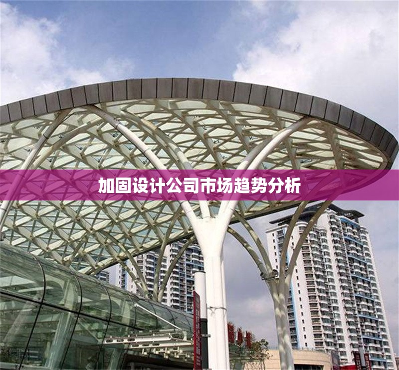 加固設(shè)計公司市場趨勢分析