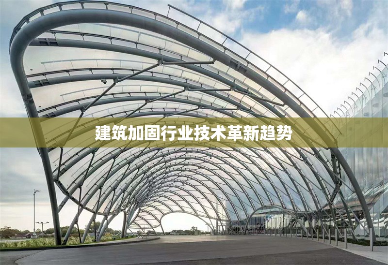 建筑加固行業(yè)技術(shù)革新趨勢 行業(yè)新聞 第1張