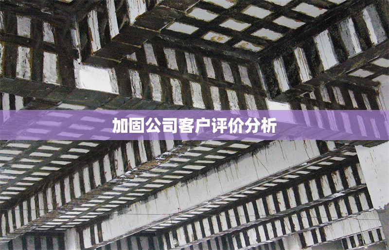 加固公司客戶評(píng)價(jià)分析