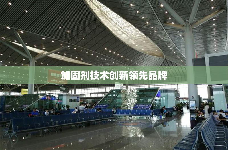 加固劑技術(shù)創(chuàng)新領(lǐng)先品牌