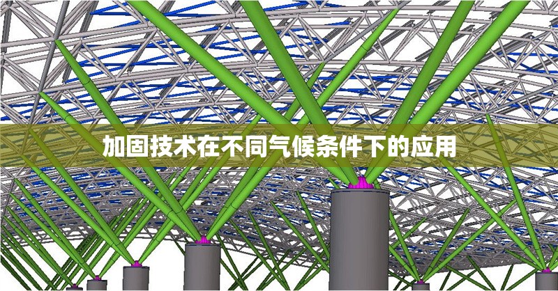 加固技術(shù)在不同氣候條件下的應(yīng)用 行業(yè)新聞 第1張