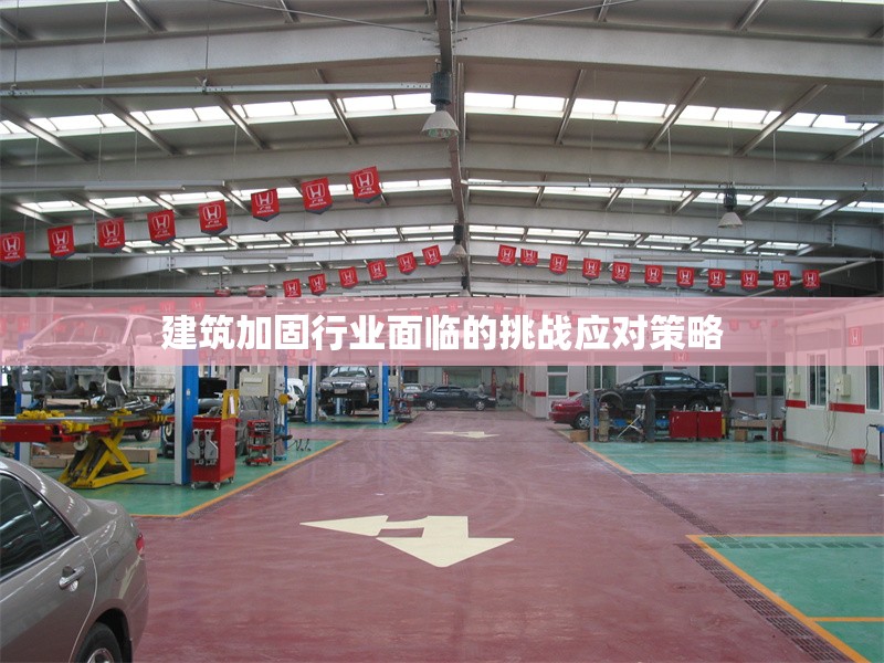 建筑加固行業(yè)面臨的挑戰(zhàn)應對策略