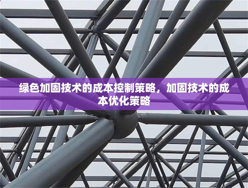 綠色加固技術(shù)的成本控制策略，加固技術(shù)的成本優(yōu)化策略