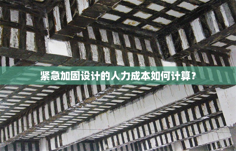 緊急加固設(shè)計(jì)的人力成本如何計(jì)算？ 行業(yè)新聞 第1張
