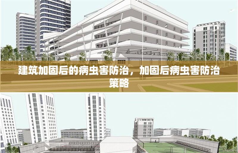 建筑加固后的病蟲害防治，加固后病蟲害防治策略