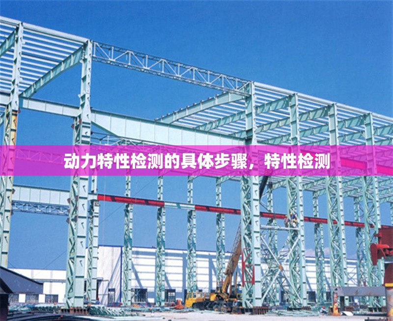 動力特性檢測的具體步驟，特性檢測 行業(yè)新聞 第1張