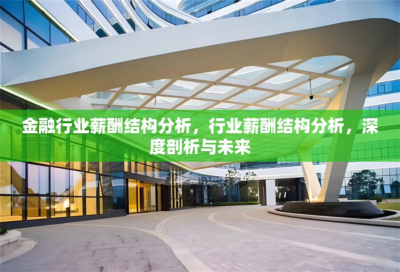 金融行業(yè)薪酬結(jié)構(gòu)分析，行業(yè)薪酬結(jié)構(gòu)分析，深度剖析與未來(lái)