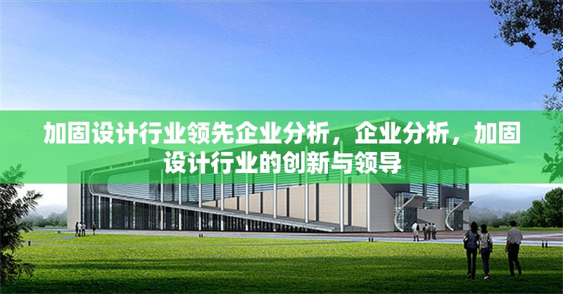 加固設(shè)計(jì)行業(yè)領(lǐng)先企業(yè)分析，企業(yè)分析，加固設(shè)計(jì)行業(yè)的創(chuàng)新與領(lǐng)導(dǎo)