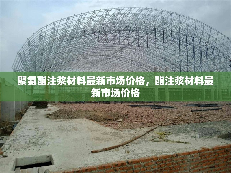 聚氨酯注漿材料最新市場價格，酯注漿材料最新市場價格 行業(yè)新聞 第1張