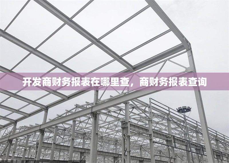 開(kāi)發(fā)商財(cái)務(wù)報(bào)表在哪里查，商財(cái)務(wù)報(bào)表查詢(xún)