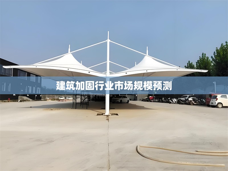 建筑加固行業(yè)市場規(guī)模預(yù)測 行業(yè)新聞 第1張