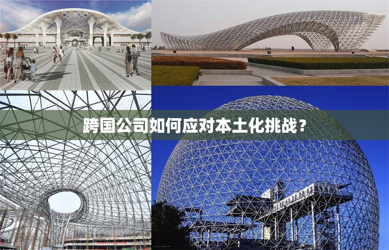 跨國(guó)公司如何應(yīng)對(duì)本土化挑戰(zhàn)？