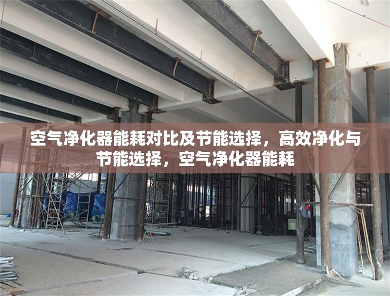 空氣凈化器能耗對比及節(jié)能選擇，高效凈化與節(jié)能選擇，空氣凈化器能耗