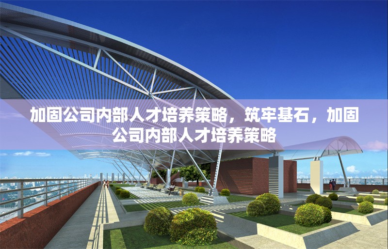 加固公司內(nèi)部人才培養(yǎng)策略，筑牢基石，加固公司內(nèi)部人才培養(yǎng)策略 行業(yè)新聞 第6張