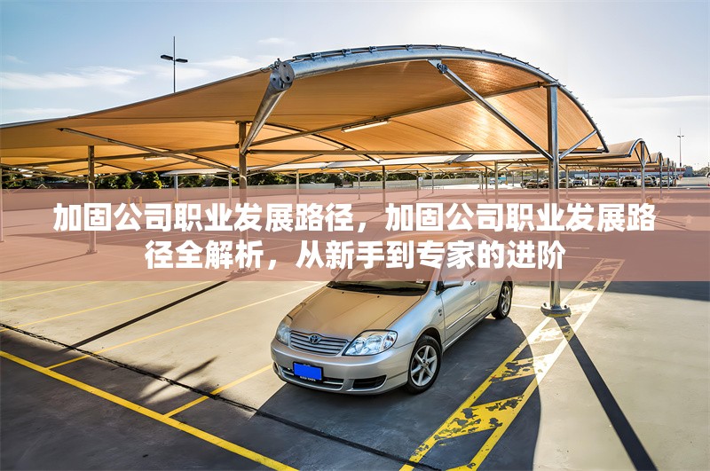 加固公司職業(yè)發(fā)展路徑，加固公司職業(yè)發(fā)展路徑全解析，從新手到專家的進(jìn)階