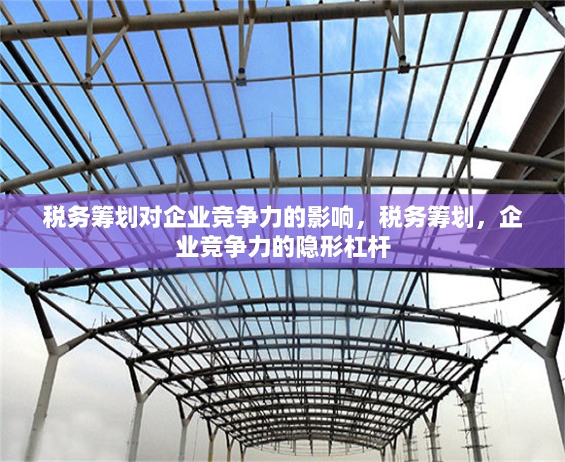 稅務籌劃對企業(yè)競爭力的影響，稅務籌劃，企業(yè)競爭力的隱形杠桿 行業(yè)新聞 第6張