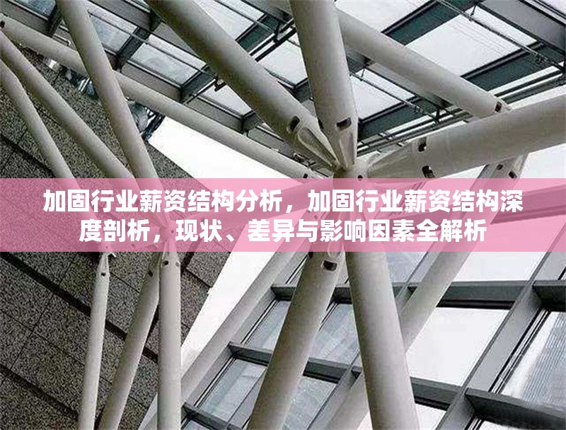 加固行業(yè)薪資結(jié)構(gòu)分析，加固行業(yè)薪資結(jié)構(gòu)深度剖析，現(xiàn)狀、差異與影響因素全解析 行業(yè)新聞 第4張