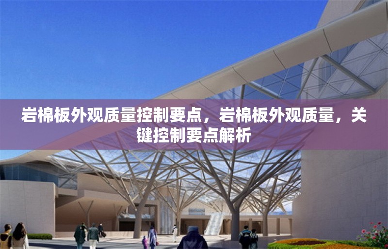 巖棉板外觀質(zhì)量控制要點(diǎn)，巖棉板外觀質(zhì)量，關(guān)鍵控制要點(diǎn)解析 行業(yè)新聞 第6張