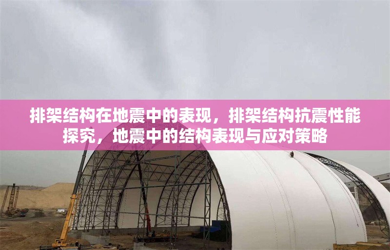排架結(jié)構(gòu)在地震中的表現(xiàn)，排架結(jié)構(gòu)抗震性能探究，地震中的結(jié)構(gòu)表現(xiàn)與應(yīng)對(duì)策略 行業(yè)新聞 第6張