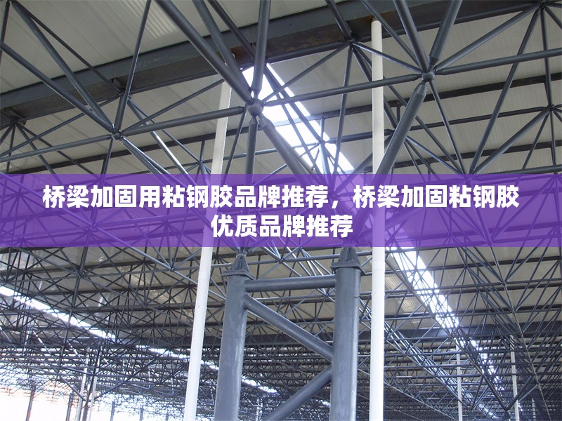 橋梁加固用粘鋼膠品牌推薦，橋梁加固粘鋼膠優(yōu)質(zhì)品牌推薦 行業(yè)新聞 第6張