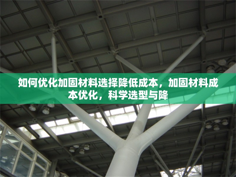 如何優(yōu)化加固材料選擇降低成本，加固材料成本優(yōu)化，科學(xué)選型與降 行業(yè)新聞 第6張