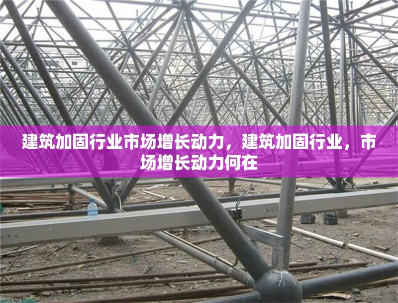 建筑加固行業(yè)市場增長動力，建筑加固行業(yè)，市場增長動力何在 行業(yè)新聞 第1張