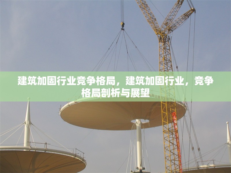 建筑加固行業(yè)競爭格局，建筑加固行業(yè)，競爭格局剖析與展望 行業(yè)新聞 第6張