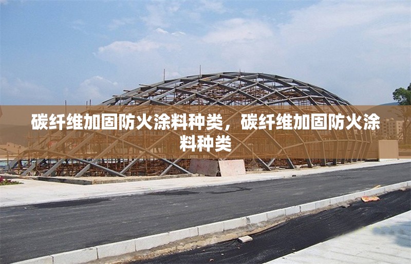 碳纖維加固防火涂料種類，碳纖維加固防火涂料種類 行業(yè)新聞 第6張