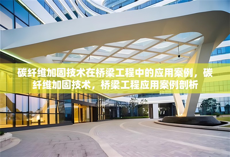 碳纖維加固技術(shù)在橋梁工程中的應(yīng)用案例，碳纖維加固技術(shù)，橋梁工程應(yīng)用案例剖析 行業(yè)新聞 第6張