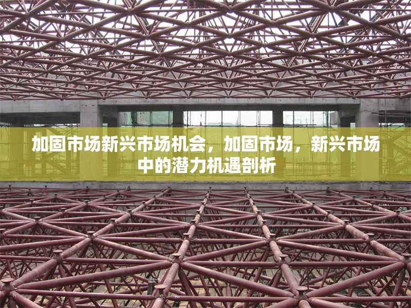加固市場新興市場機(jī)會，加固市場，新興市場中的潛力機(jī)遇剖析 行業(yè)新聞 第6張