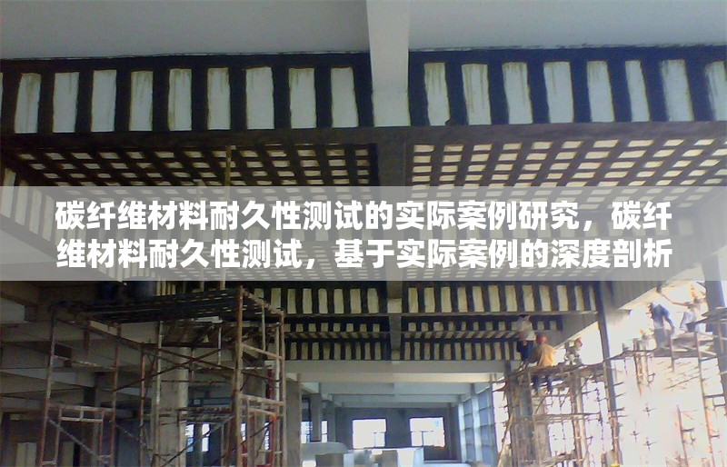 碳纖維材料耐久性測試的實(shí)際案例研究，碳纖維材料耐久性測試，基于實(shí)際案例的深度剖析 行業(yè)新聞 第2張
