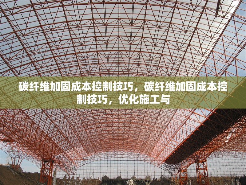 碳纖維加固成本控制技巧，碳纖維加固成本控制技巧，優(yōu)化施工與 行業(yè)新聞 第1張