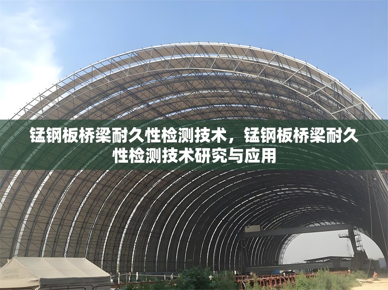 錳鋼板橋梁耐久性檢測(cè)技術(shù)，錳鋼板橋梁耐久性檢測(cè)技術(shù)研究與應(yīng)用
