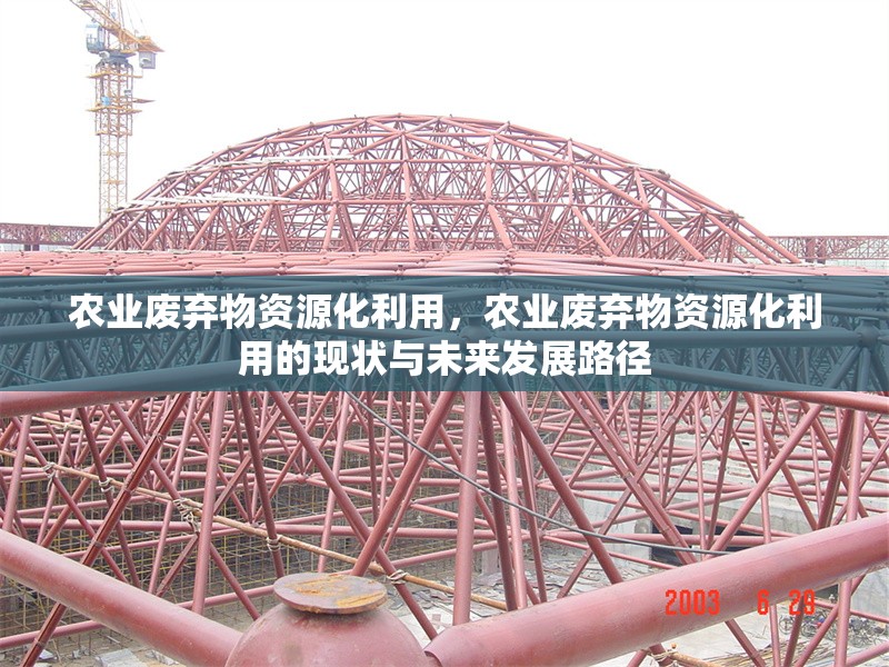 農(nóng)業(yè)廢棄物資源化利用，農(nóng)業(yè)廢棄物資源化利用的現(xiàn)狀與未來(lái)發(fā)展路徑