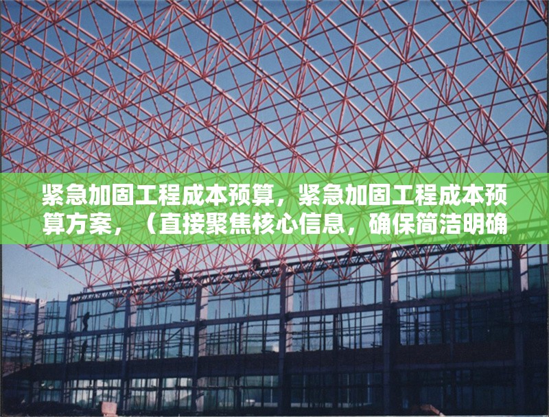 緊急加固工程成本預(yù)算，緊急加固工程成本預(yù)算方案，（直接聚焦核心信息，確保簡潔明確）
