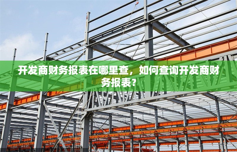 開發(fā)商財務(wù)報表在哪里查，如何查詢開發(fā)商財務(wù)報表？ 行業(yè)新聞 第1張