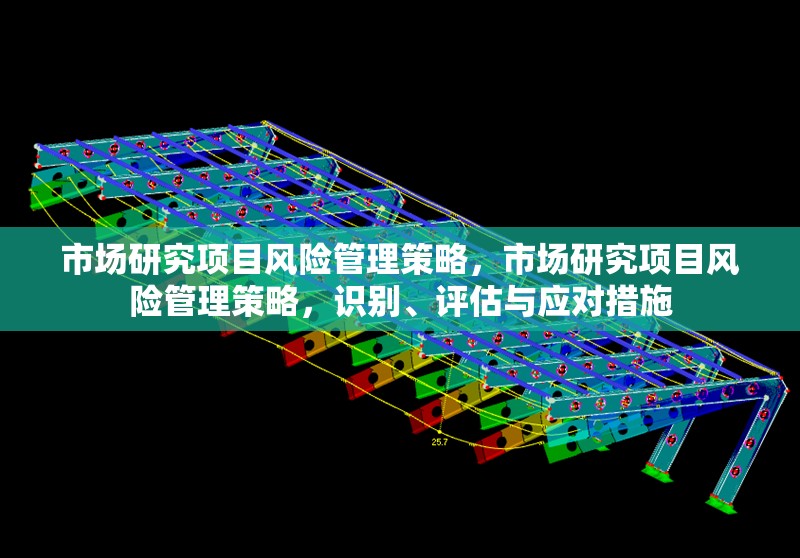 市場(chǎng)研究項(xiàng)目風(fēng)險(xiǎn)管理策略，市場(chǎng)研究項(xiàng)目風(fēng)險(xiǎn)管理策略，識(shí)別、評(píng)估與應(yīng)對(duì)措施