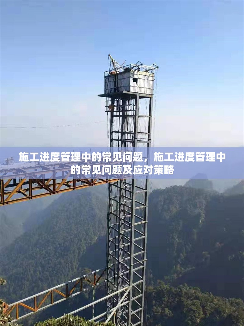 施工進(jìn)度管理中的常見問題，施工進(jìn)度管理中的常見問題及應(yīng)對(duì)策略