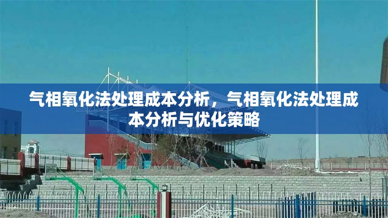 氣相氧化法處理成本分析，氣相氧化法處理成本分析與優(yōu)化策略，氣相氧化法處理成本分析與優(yōu)化策略