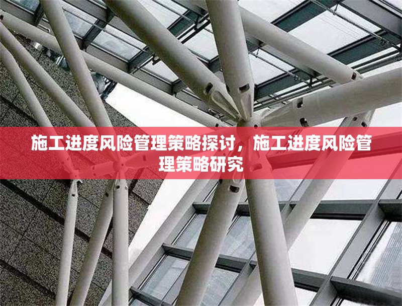 施工進(jìn)度風(fēng)險(xiǎn)管理策略探討，施工進(jìn)度風(fēng)險(xiǎn)管理策略研究
